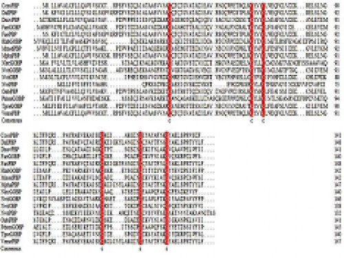 Amino acid sequences alignment of olfactory proteins (OBPs, GOBPs, PBPs) in hymenoptera was constructed with DNAMANN 8 software using multiple sequence alignment base on full alignment methods. The representative olfactory proteins were selected as the results of nearest phylogeny. The red colors align represent the consensus sequence as 6 Cysteine