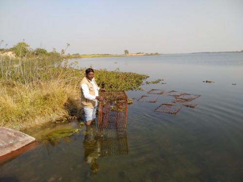 Fishing Traps used in Kotwal reservoir