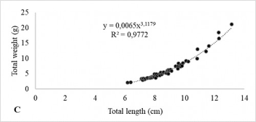 Length-weight relationship of <em>S. eurystomus </em>from Fergana Valley. (C) immature