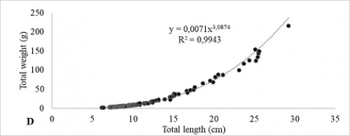 Length-weight relationship of <em>S. eurystomus </em>from Fergana Valley.&nbsp;(D) total