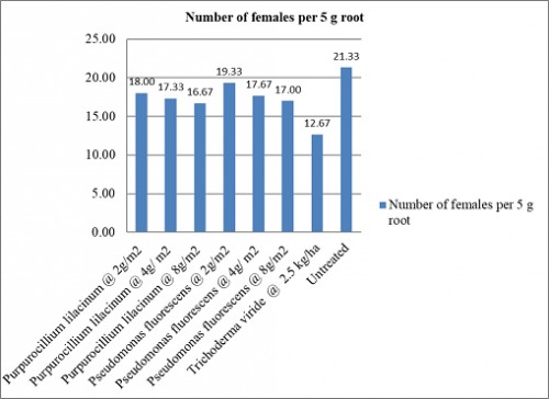 Efficacy of bio-agents as soil application against root-knot nematode, <em>Meloidogyne incognita</em> on Chilli (On X- axis- Details of treatment, Y- axis - Number of females per 5 g root)