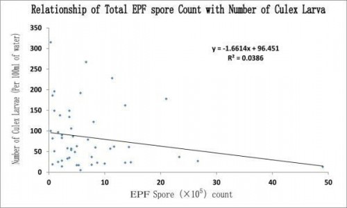 Relationship of Entomopathogenic fungi (EPF) spore density and mosquito larvae density