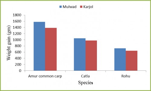 Growth performance of carps (Amur common carp, Catla and Rohu) in selected Village tanks of Vijayapur District (value ± standard error)
